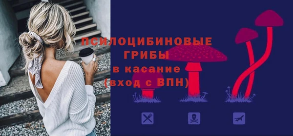 сатива Заволжск