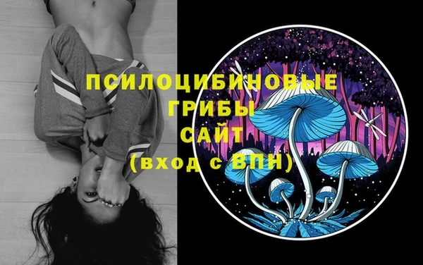 сатива Заволжск
