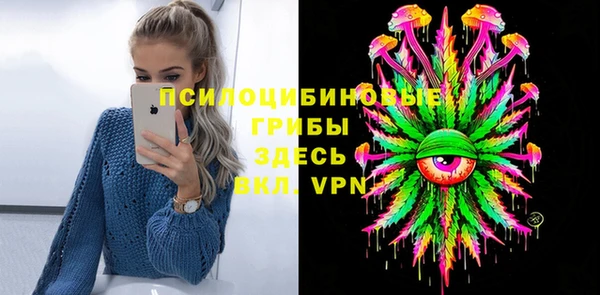 спиды Заводоуковск