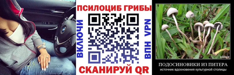 Псилоцибиновые грибы мицелий Инта